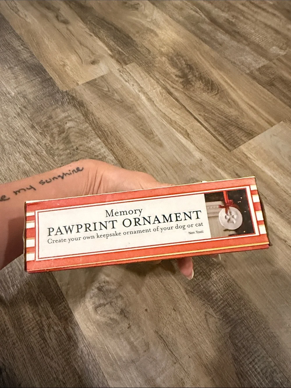 Memory Pawprint Ornament Kit - Red and White